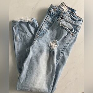 Abercrombie & Fitch Light Wash Distressed The Mom High Rise Curve Love